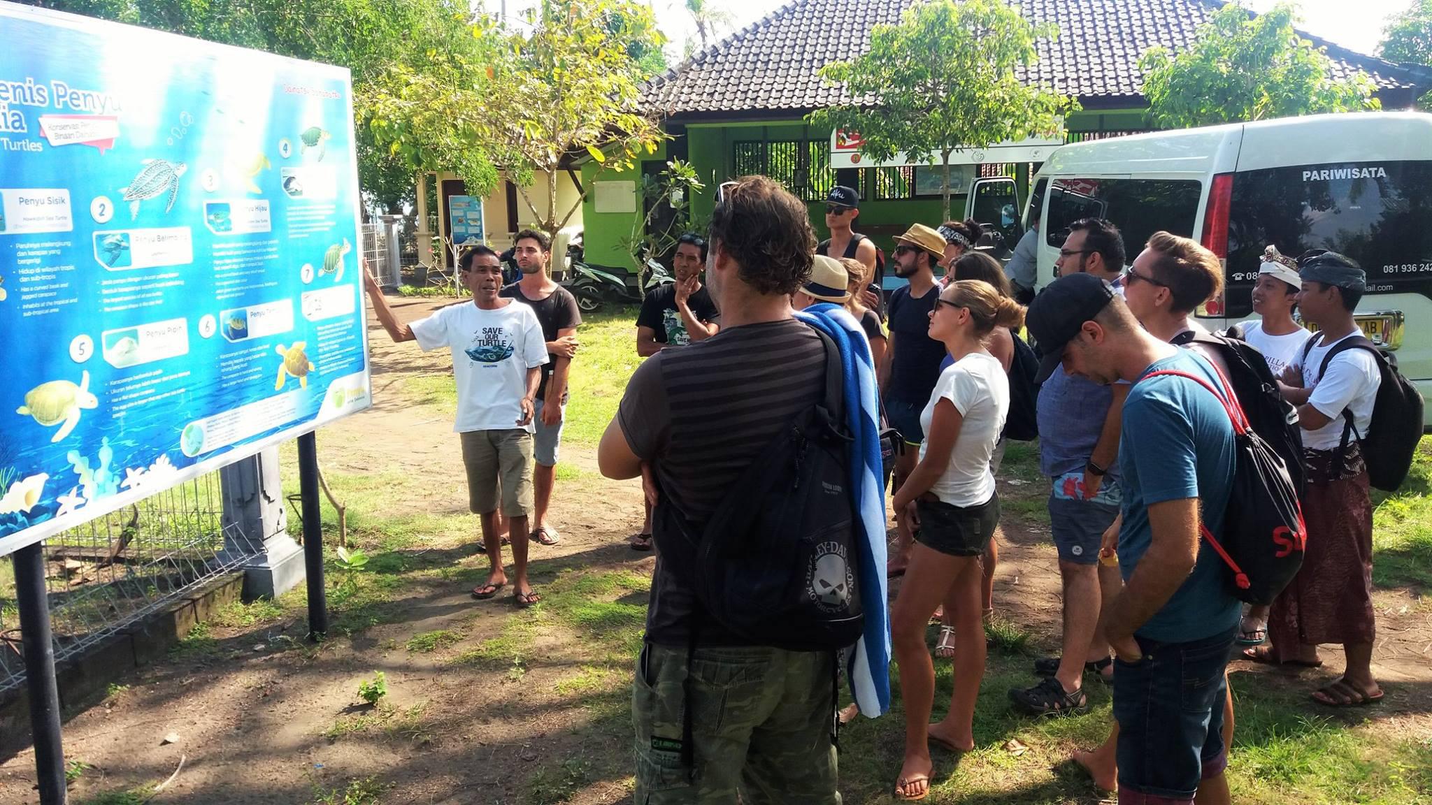Learning about sea turtles on a Dojo Bali trip to visit local businesses in West Bali.